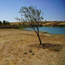 Edirne'deki Korucuköy Göleti'nin su seviyesi kuraklık nedeniyle azaldı