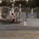 Erol Köse'nin kızı serbest bıraktığı köpekten korkup denize atlayan çocuğu kahkahalarla izledi