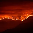 California'nın Napa bölgesinde orman yangını