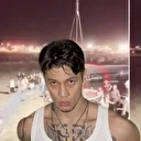 Çakal’ı vuran şahıs tutuklandı