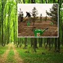 Ormanların korunması için 6 ayda yaklaşık 10,9 milyar lira harcandı