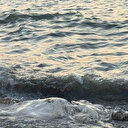 Hatay'da telef olmuş angus kıyıya vurdu