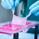 Avustralya'da bilim insanları dünyada ilk kez kan dolaşımı olan deri dokusu üretti