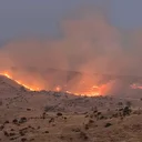 Sivas'ta örgü yangını: Alevlere karşı mücadele başlatıldı