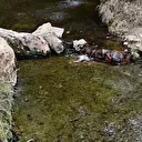 Yaşlı çift şifalı diye girdikleri suda hayatını kaybetti