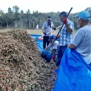 Fındık hasadında gizli tehlike; toz alerjik reaksiyonları artırıyor