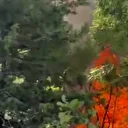 Adana Feke’deki orman yangını kontrol altına alındı