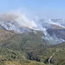 İspanya ve Portekiz’de orman yangınları: Binlerce hektar kül oldu