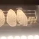 Elazığ’da ekmek fırınında farenin cirit attığı anlar kameraya yansıdı