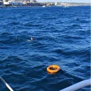 Boğulmak üzereyken vapurdaki yolcuların fark etmesiyle kurtuldu