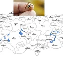 Türkiye'nin kene risk haritası çıkarılıyor