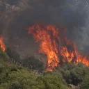 İtalya’nın Sicilya Adası orman yangınlarıyla mücadele ediyor