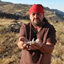 Kendiliğinden yetişiyor, kilosu 10 bin TL’ye satılıyor: Bu bitkiyi bulan hazine bulmuş gibi seviniyor