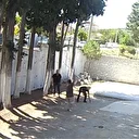 CHP'li belediye başkanı taş döşemek istemeyen zabıtaları sopayla dövdü: Can güvenliğimiz yok