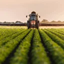 Tarıma dev destek: 772 milyon liralık ödeme çiftçilerin hesaplarında