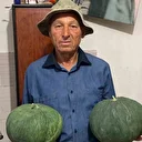 Dededen kalan tohumla "Çavuşlar Kavunu" yeniden canlandırıldı