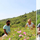 Zirai don gül bahçelerini vurdu: Rekolte yüzde 30 azaldı