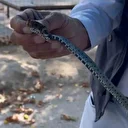 Taşlarının arasında sıkışan yılanı böyle kurtardı