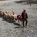 852 yıllık gelenek: Bu kez kuruyan nehir yatağında sembolik olarak yapıldı