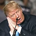 Trump nerede, hasta mı?