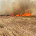 Adilcevaz’da arpa tarlasında yangın