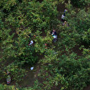 Karı koca fındık bahçesinde ölü bulundu