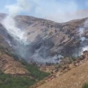 Adıyaman'da orman yangını korkuttu: Yoğun çalışmalar sonucu kontrol altına alındı