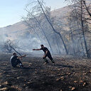 Şanlıurfa'da çıkan orman yangını kontrol altına alındı