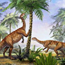 Découverte en Chine du plus ancien dinosaure sauropodomorphe d’Asie de l’Est