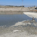 Hatay’da balık ölümleri yaşandı