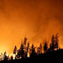 Kanada'da son 30 yılın en büyük orman yangını: 17 milyon dönüm alan kül oldu