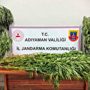 Jandarmadan uyuşturucu operasyonu: 9 gözaltı