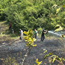 Bolu’daki orman yangını kısa sürede kontrol altına alındı