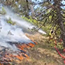 Bolu'da çıkan orman yangınına ekipler anında müdahale etti