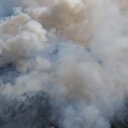 Sinop'ta orman yangını: Havadan ve karadan müdahale ediliyor