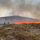 Paşalimanı Adası’nda yangın: Alevler rüzgarın etkisiyle yayıldı