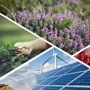 Kırsal kalkınmaya dev destek: 597,6 milyon lira hibe ödendi