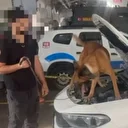 Van'da bir otomobilde sahte döviz ve uyulturucu ele geçirildi