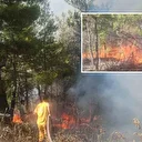 Buldan’da ormanlık alanda yangın çıktı