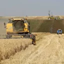 Çiftçilere 274 milyon liralık destek ödemesi: Bugün hesaplarda