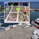 Balıkçıların tezgahlarında yeni sezonda en çok istavrit yer alıyor