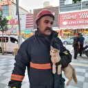 Çorum'da ağaçta mahsur kalan kedi kurtarıldı