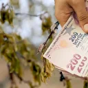 Zirai don desteğinden yararlanacak iller ve ürünler belli oldu