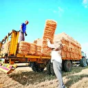 Tarımsal üretime kapsamlı destek