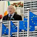 İrlanda Cumhurbaşkanı Higgins AB ülkelerinin soykırım sessizliğini eleştirdi