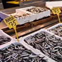 Trabzon'daki balıkçı tezgahlarında hamsi bolluğu yaşanıyor