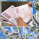 Tekirdağ'da zirai don sonrası çiftçilere nakdi destek: 46 milyon lira