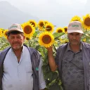 Sunar Yatırım FSA onayıyla tarımsal geleceğe katkısını pekiştirdi
