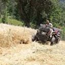 Megakenti bırakıp Ordu’da tarıma yöneldi: 200 dönüm atıl araziyi tarıma kazandırdı