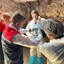 ŞAP hastalığına karşı aşılama sürüyor